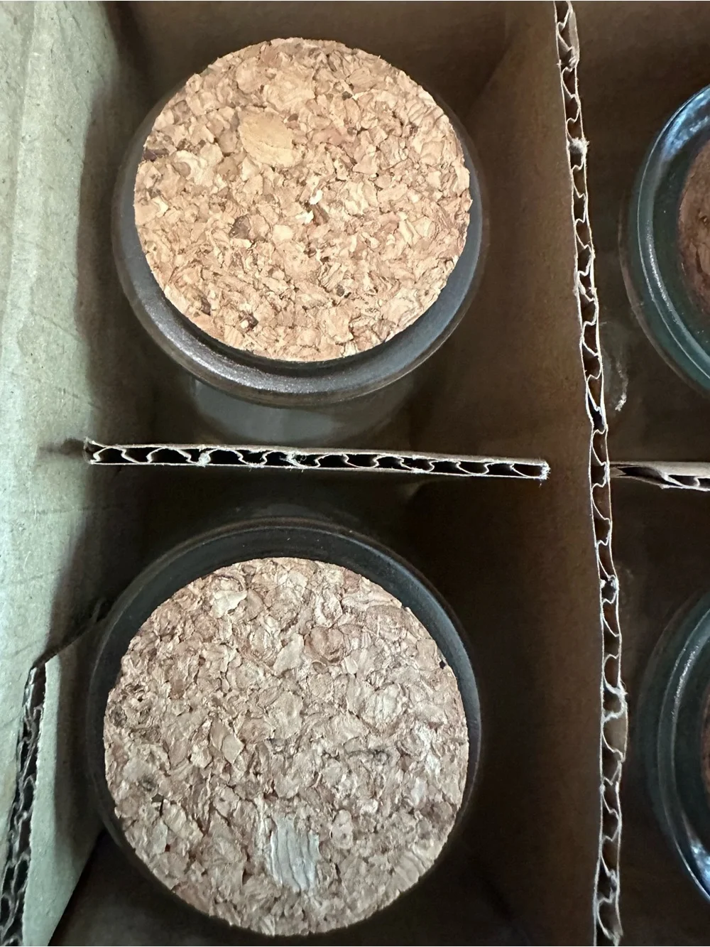 Glass Cosmetic Jars with Cork Lids — Neutral Brown